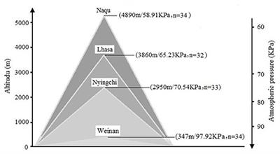 Influence of Exposure at Different Altitudes on the Executive Function of Plateau Soldiers—Evidence From ERPs and Neural Oscillations